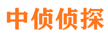 元阳婚外情调查取证